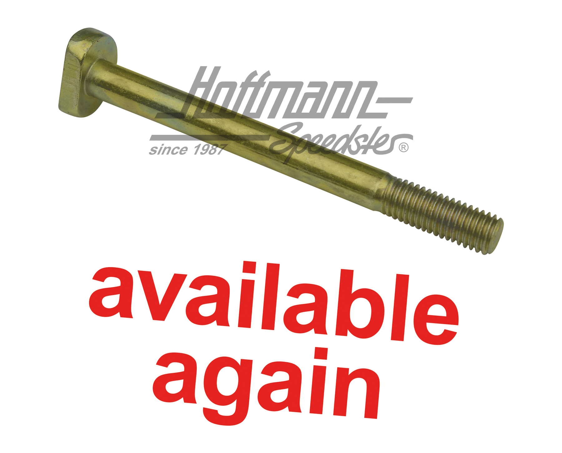 Vis marteau, fixation moteur, M10x110 | 111 199 101 | 010-0993