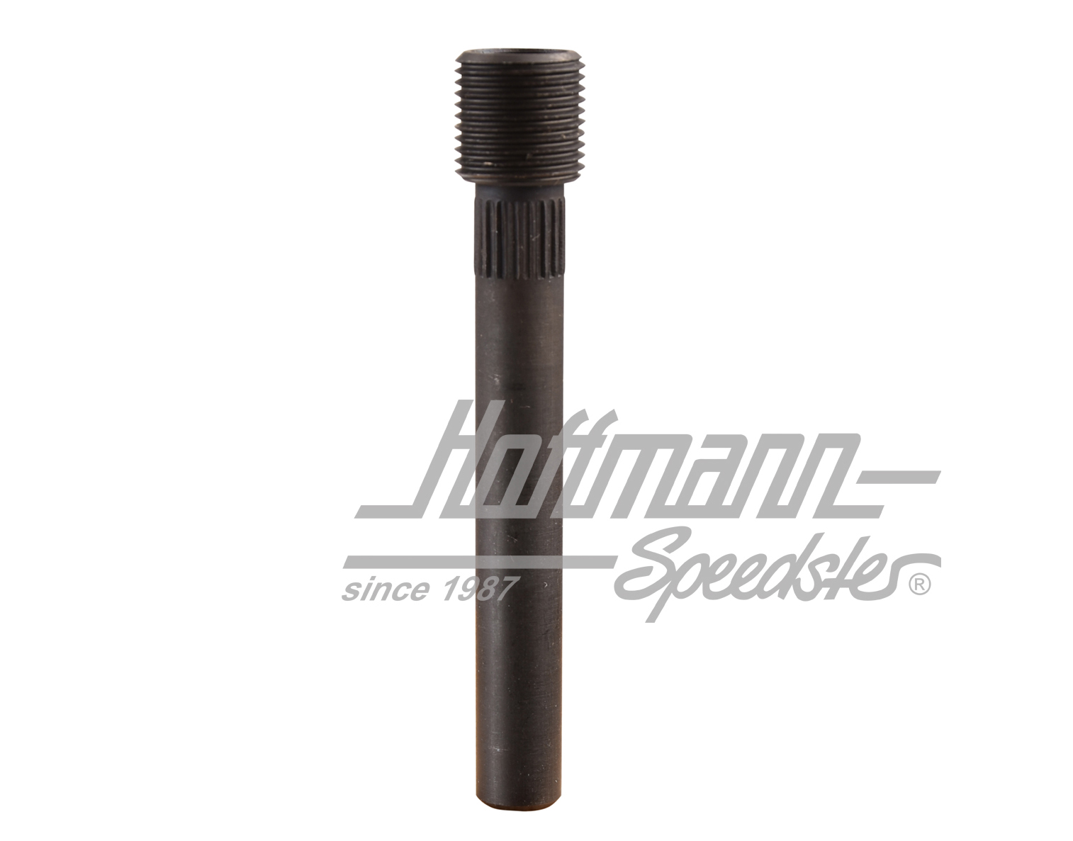 Axe de charnière de porte avec filet (1. surdimension) | 111 831 423 D | 045-9218-05