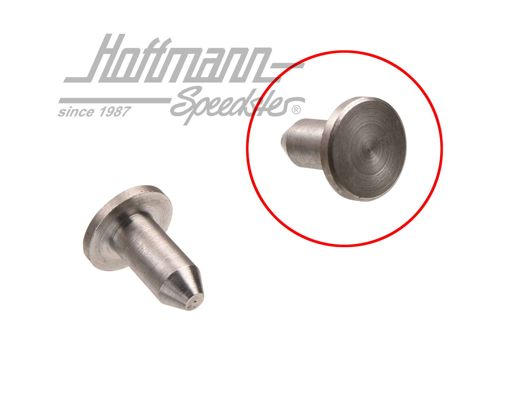 Boulon, support de palier, arrêt de porte | 181 809 PIN | 080-2620-10