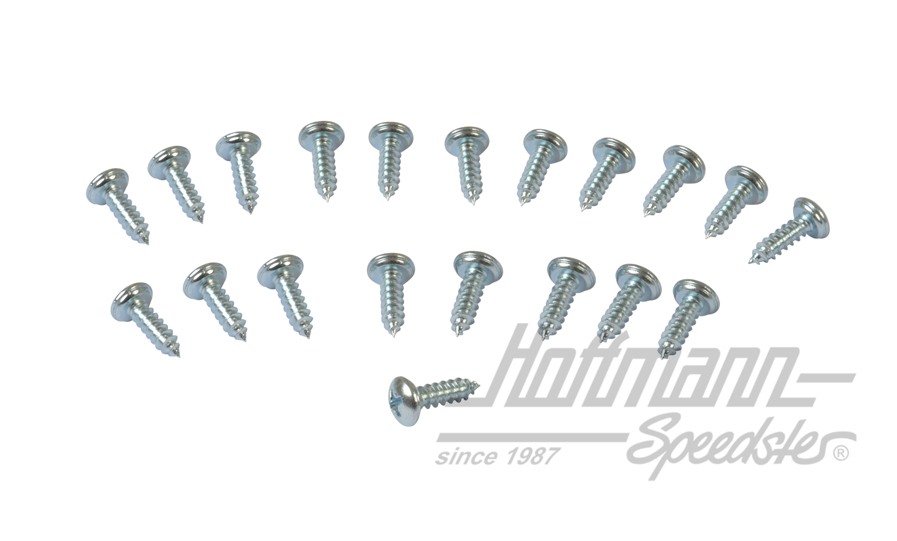 Vis, Westfalia (20 pièces) | 255 070 240 | 385-3012