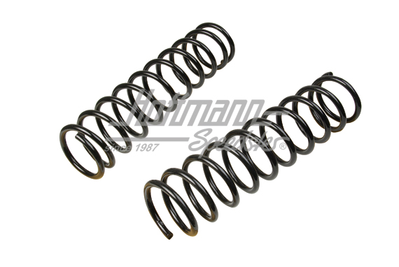 Ressorts de la suspension, standard, arrière, .75- | 171 511 105 H | 140-3750