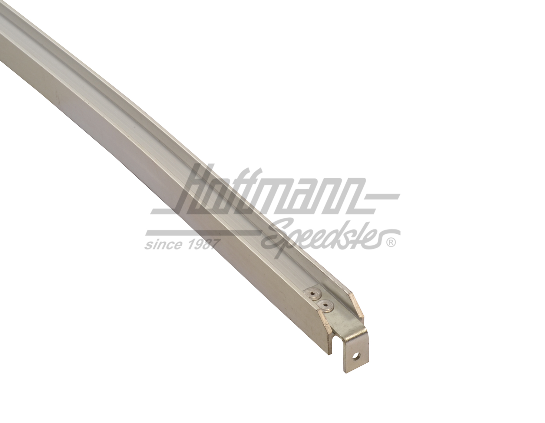 Glissière, vitre de porte/déflecteur, droite, argentine                                             