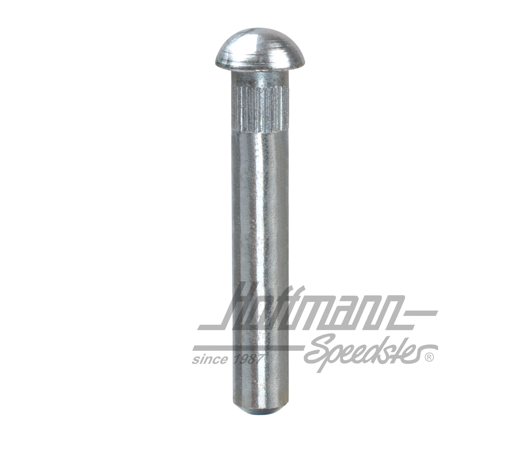 Axe de charnière de porte, ø8.2mm (2. surdimension) | 211 831 421 B | 089-5040-09