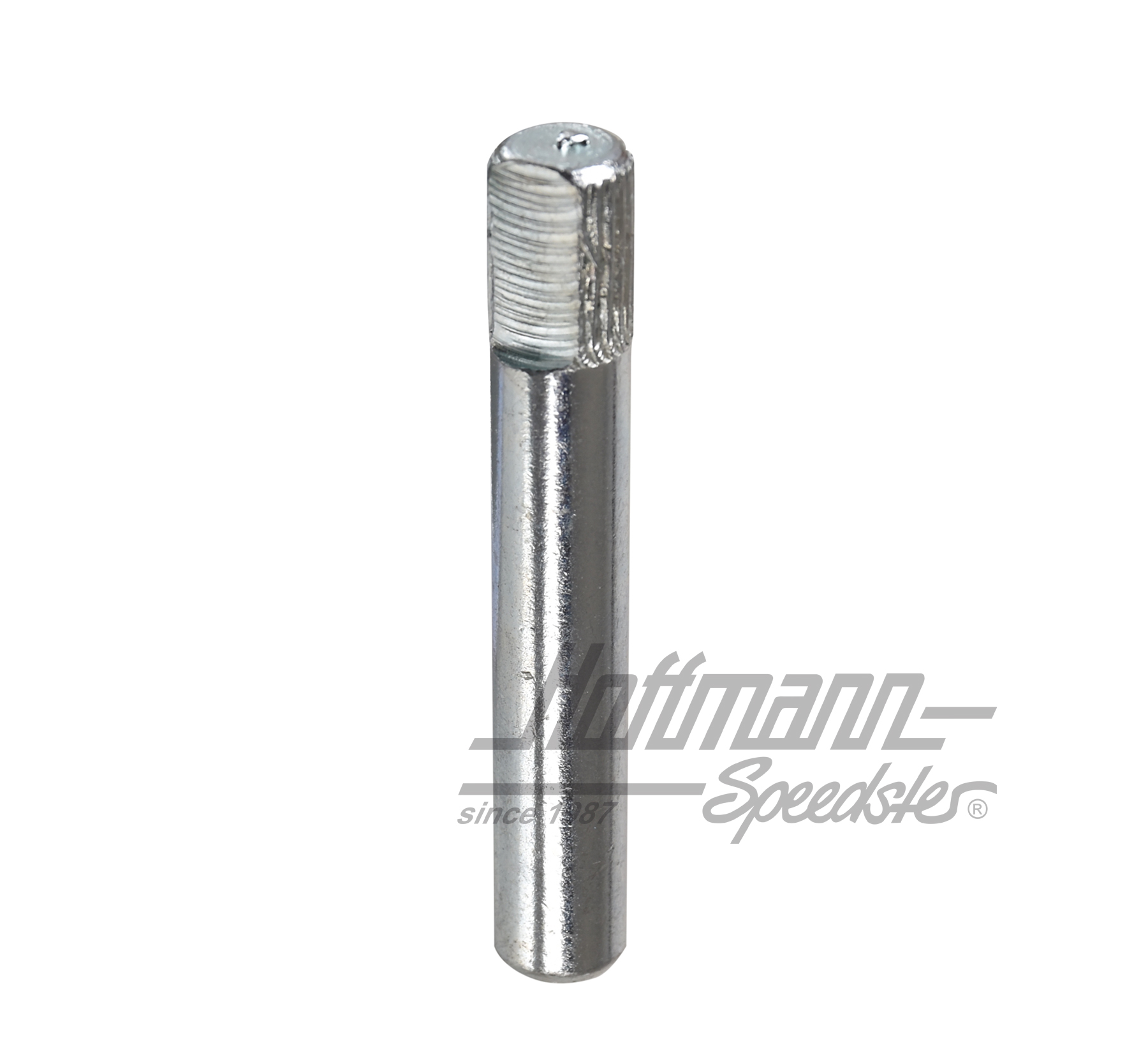 Axe de charnière de porte (long), ø8mm | 111 831 421 | 020-2442