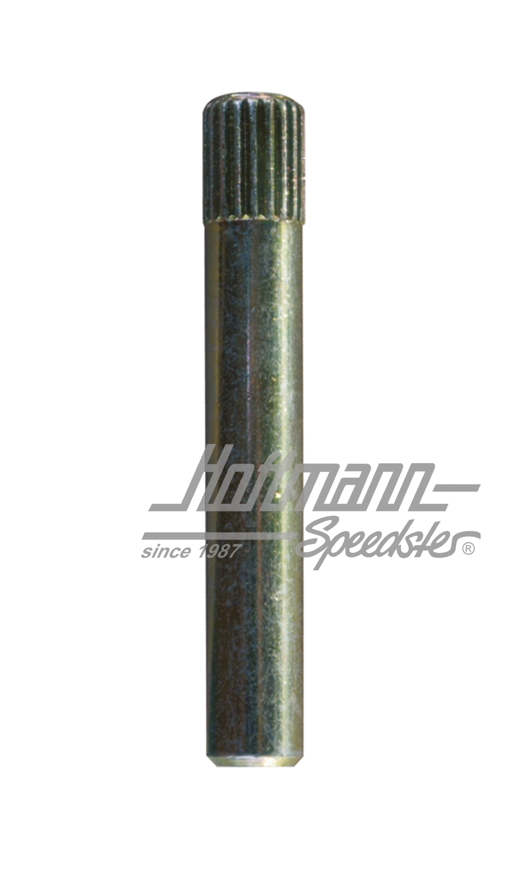 Axe de charnière de porte, ø8.1mm (1. surdimension) | 111 831 421 F | 020-2444