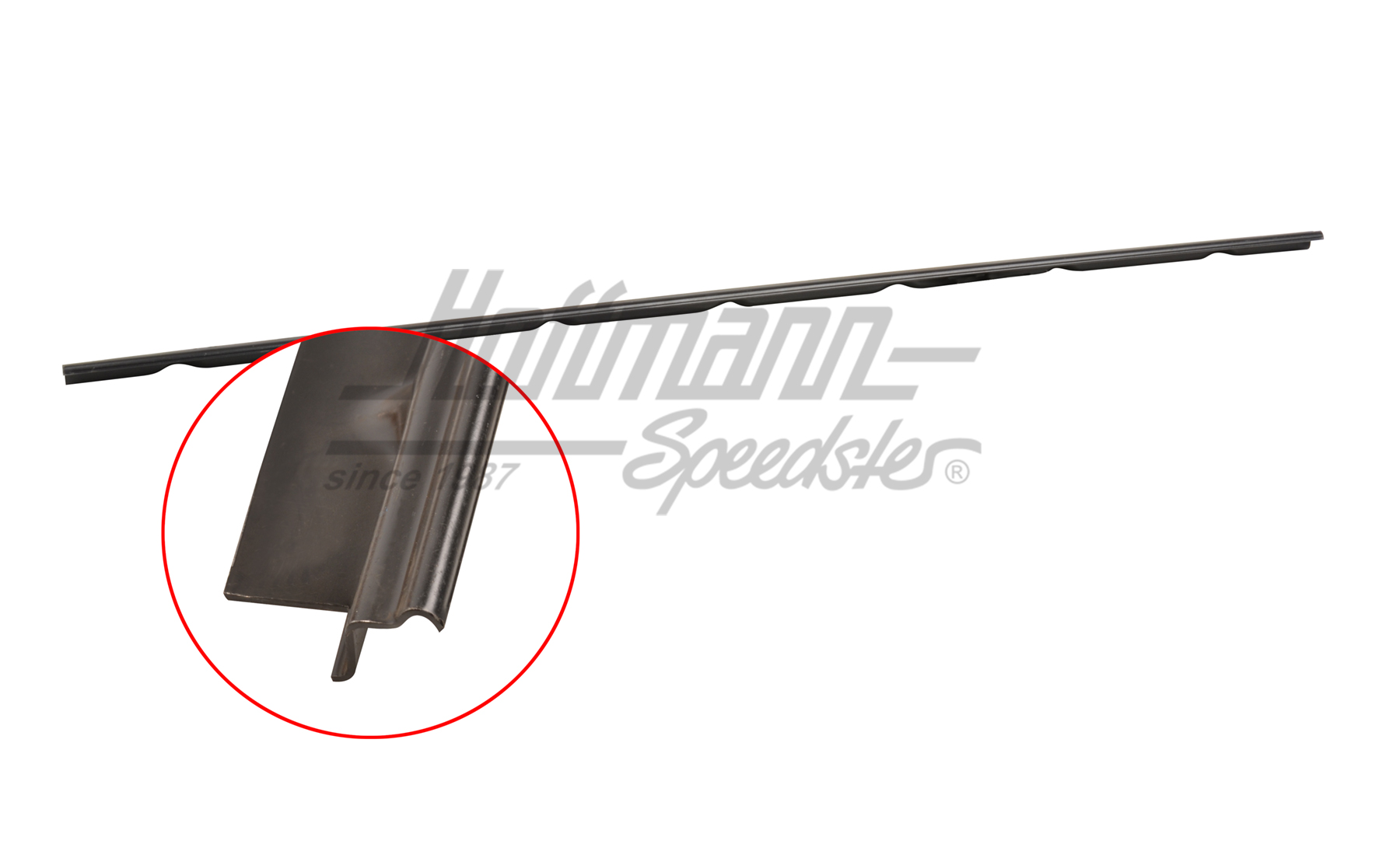 Plaque de recouvrement, porte, arrière, Cabine double, droite | 247 803 624 | 390-0153-10