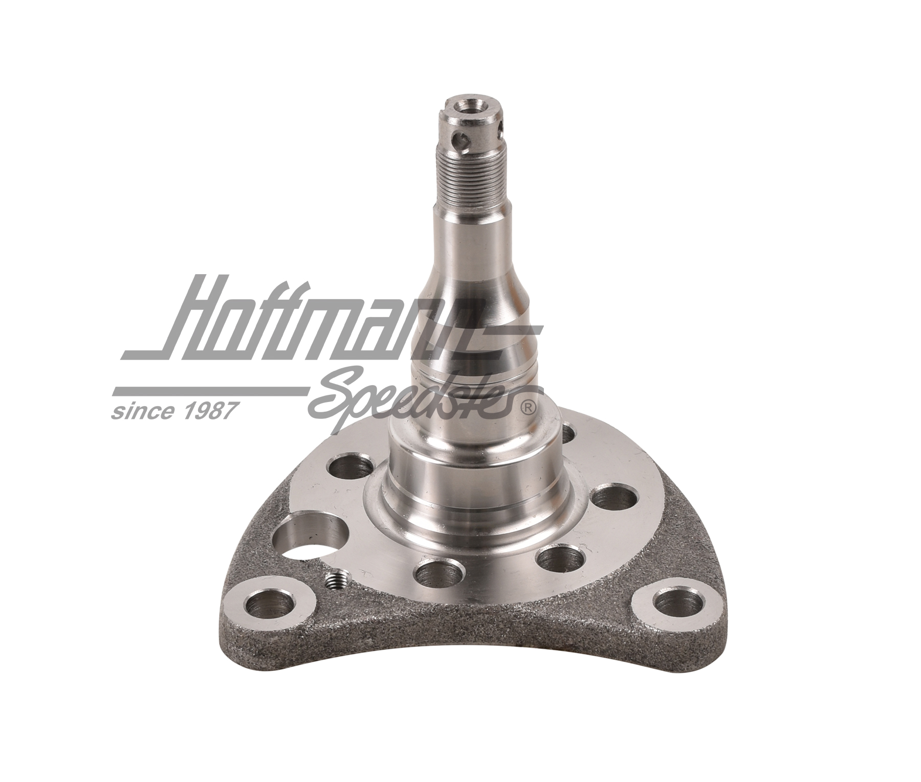 Bout d'arbre, arrière, frein à disque, droite                                                       