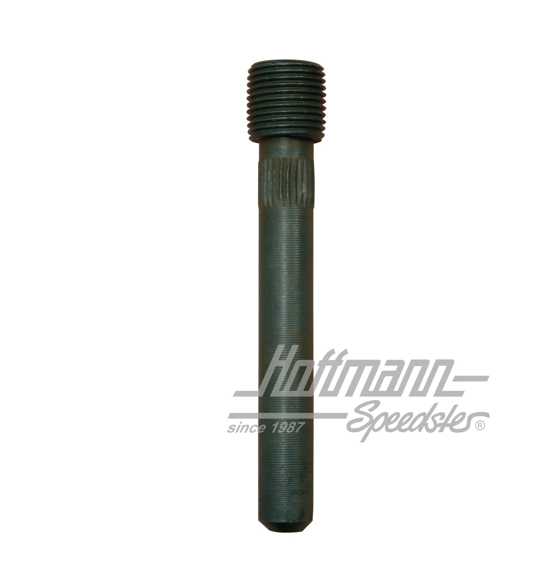 Axe de charnière de porte avec filet (2. surdimension) | 111 831 423 E | 045-9218-06