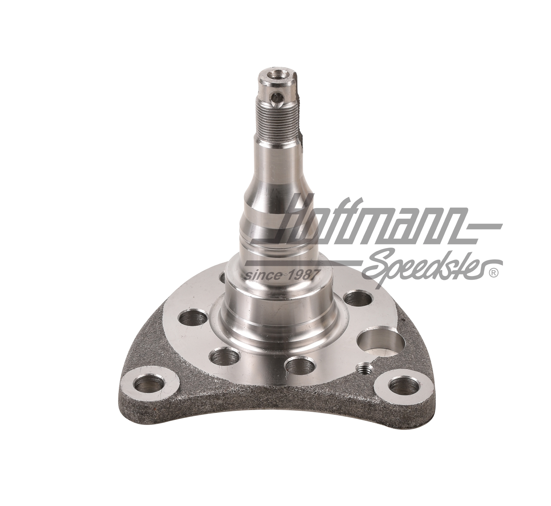 Bout d'arbre, arrière, frein à disque, gauche                                                       