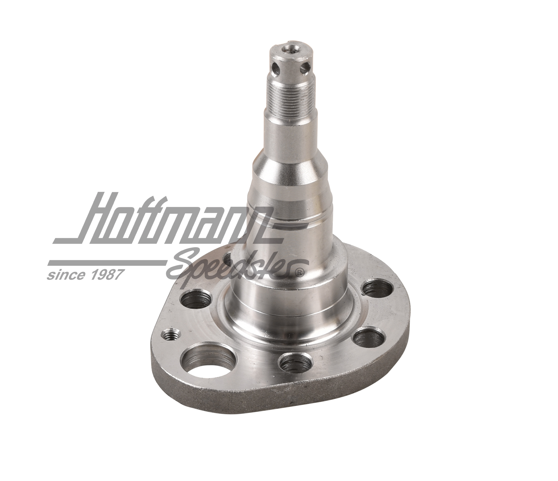 Bout d'arbre, arrière, ABS, frein à tambour, gauche                                                 