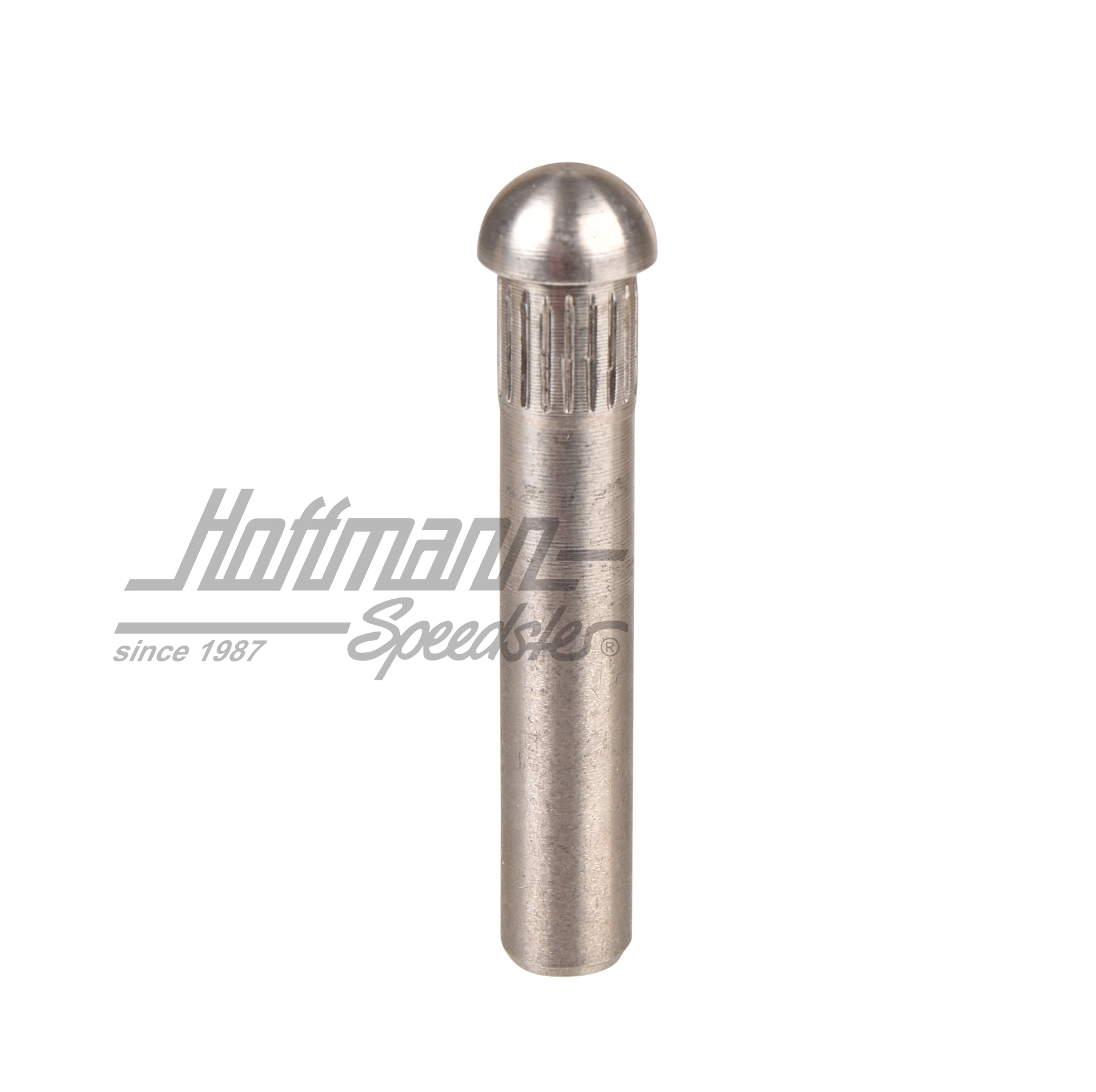 Axe de charnière de porte, ø9mm (4. surdimension) | 211 831 421 | 089-5040-13