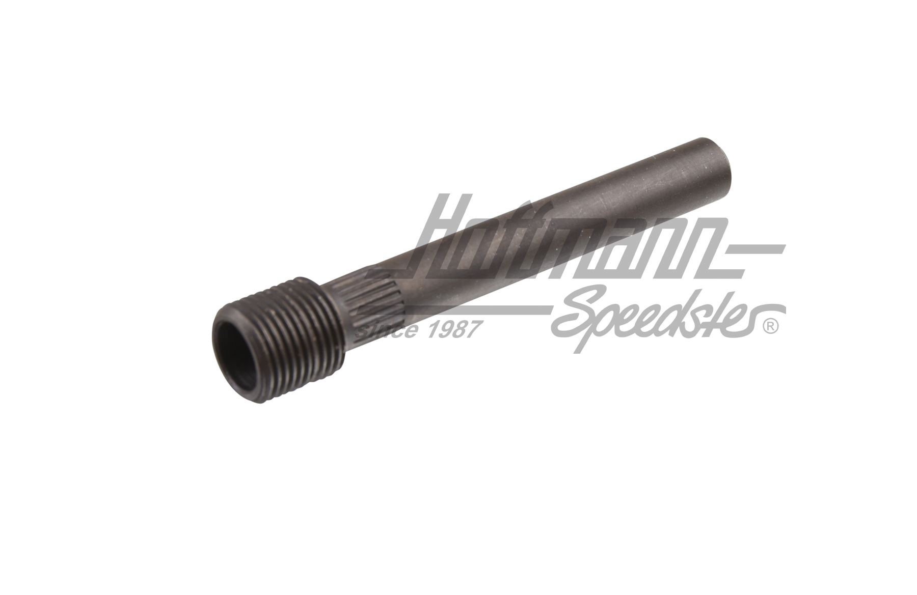 Axe de charnière de porte avec filet (1. surdimension)                                              