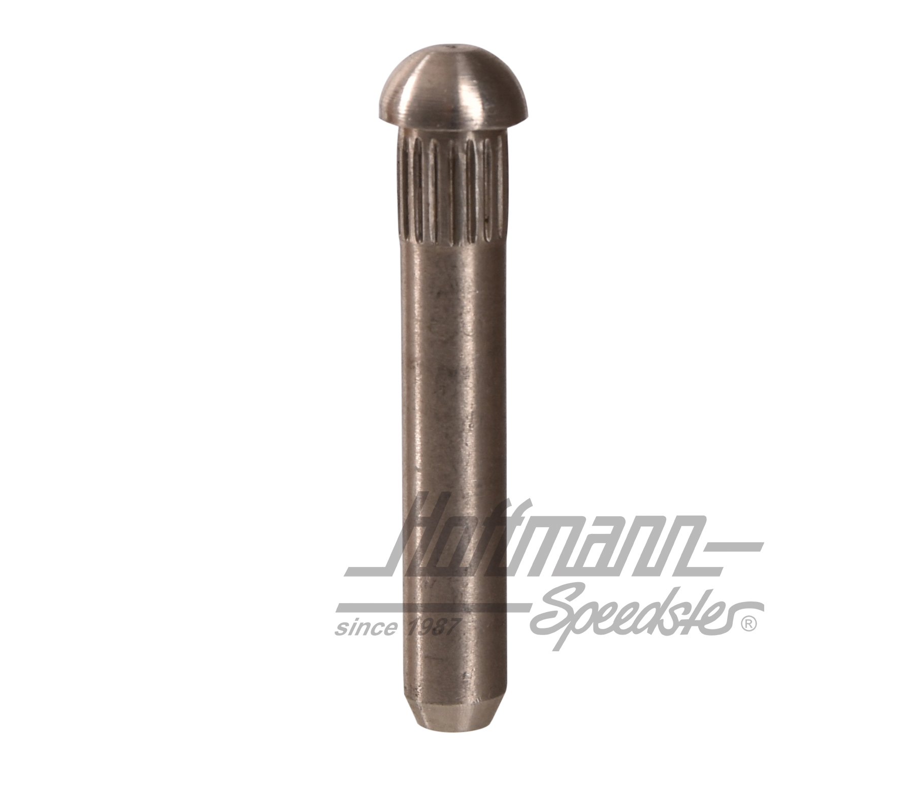 Axe de charnière de porte, ø8.5mm (3. surdimension) | 211 831 421 | 089-5040-10