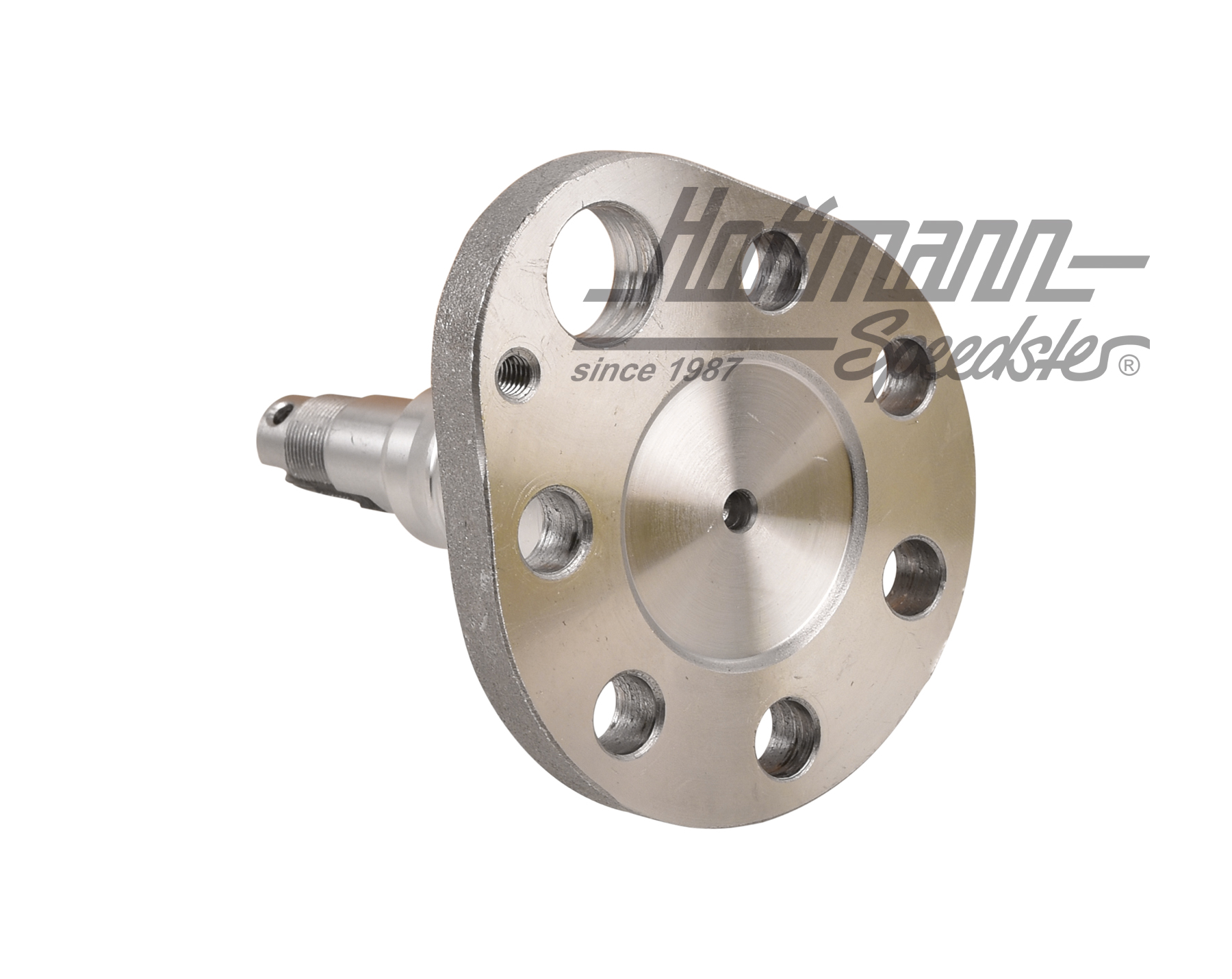 Bout d'arbre, arrière, ABS, frein à tambour, gauche                                                 